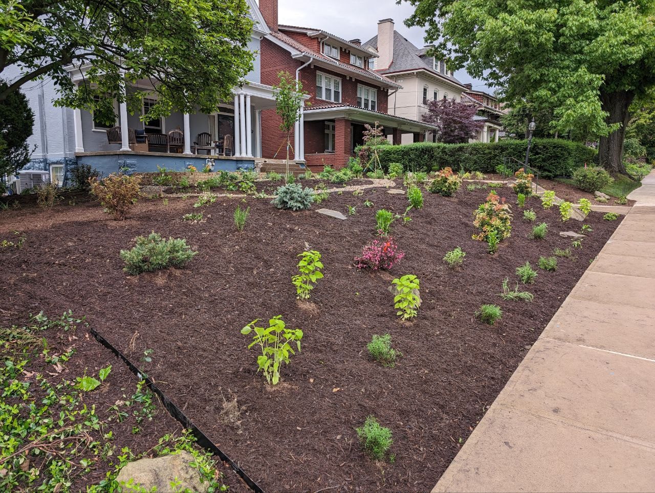 Squirrel Hill North garden — completed planting