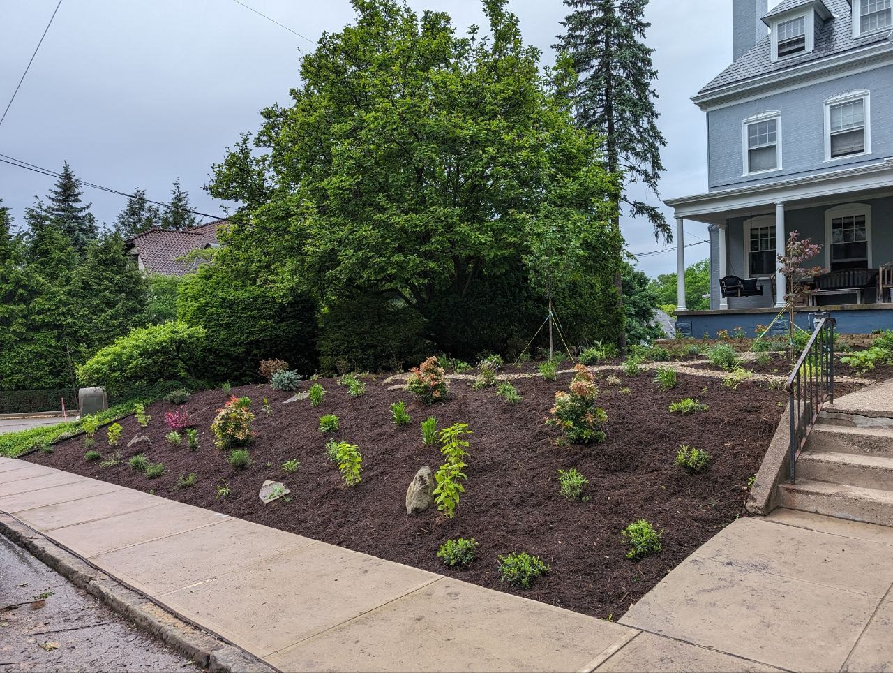 Squirrel Hill North garden — completed planting