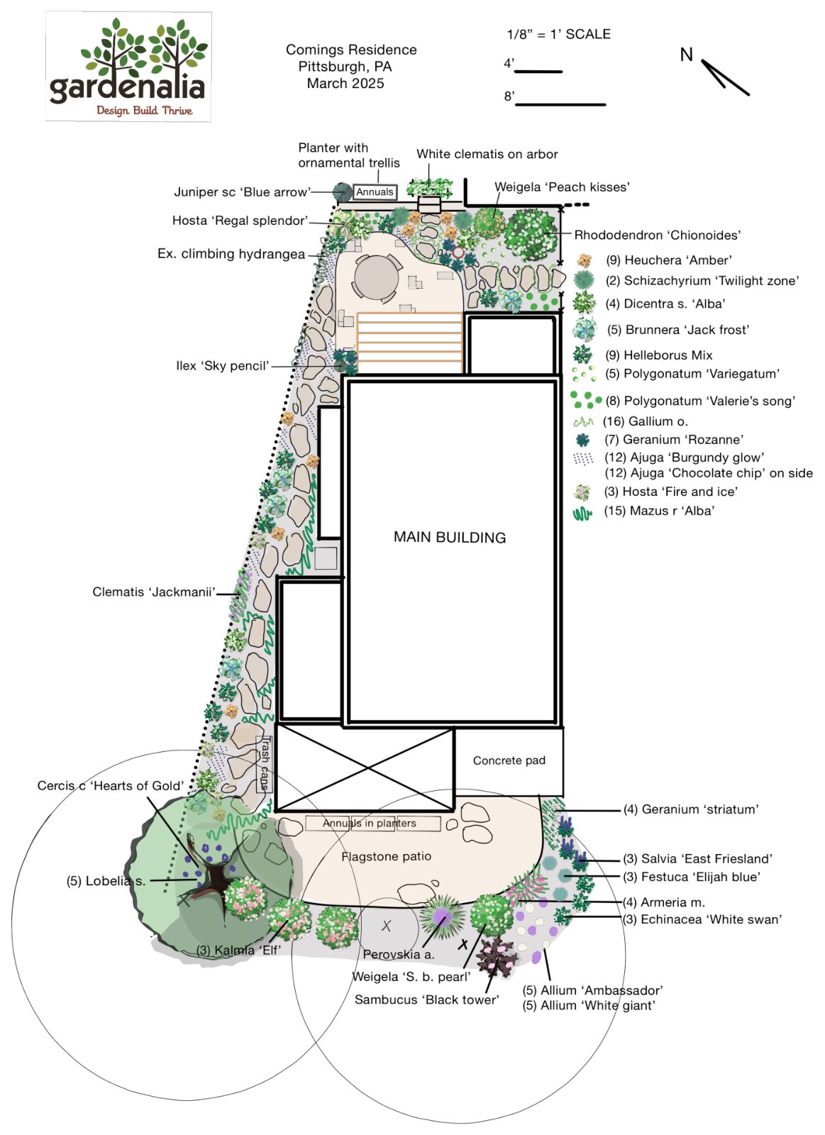 Squirrel Hill South garden — landscaping plan